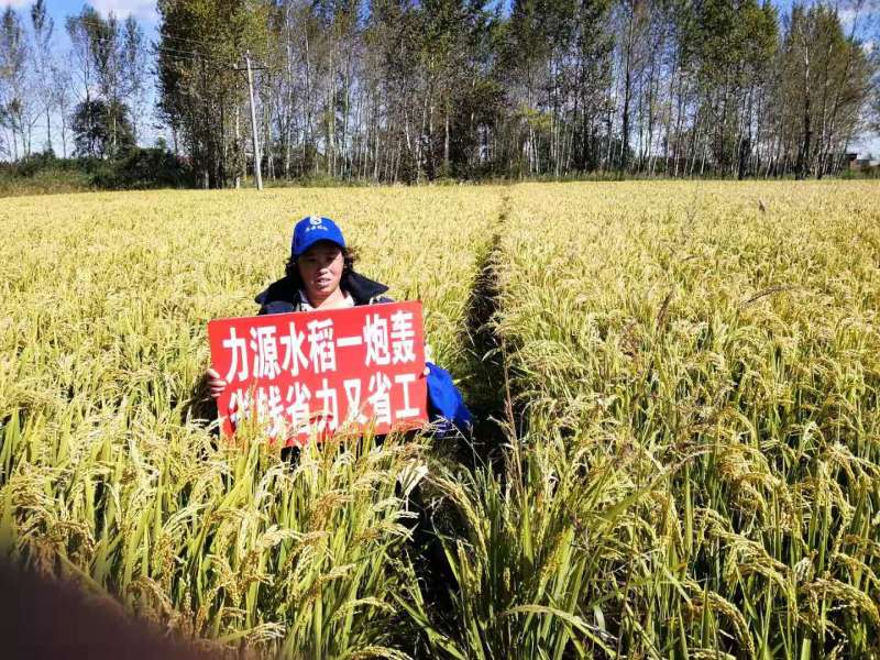 &#22823;&#36130;&#31070;&#97;&#112;&#112;&#40;&#20013;&#22269;&#41;&#20225;&#19994;&#30334;&#31185;